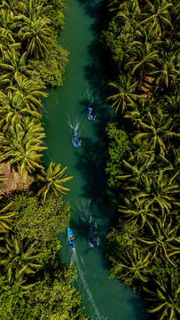 Drone view of a boat through a coconut tree jungle on the Maron River, East Java.