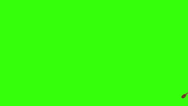 Collage of kitchen utensils falling against a vibrant green background