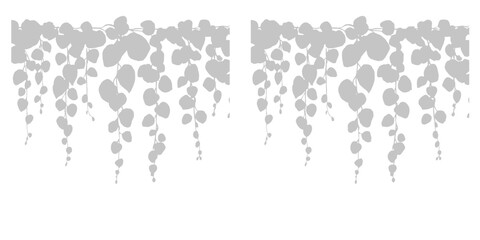 Hanging plant silhouette decoration for interior design element isolated on white background with climbing ivy vine botanical motif. © Creative Png