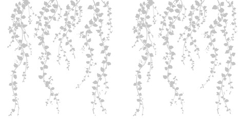 Hanging ivy vines silhouette illustration set against transparent background isolated for elegant vertical greenery decor. © Creative Png