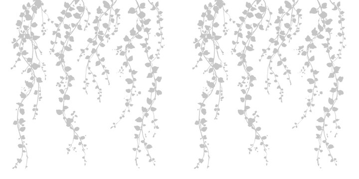 Hanging ivy vines silhouette illustration set against transparent background isolated for elegant vertical greenery decor.