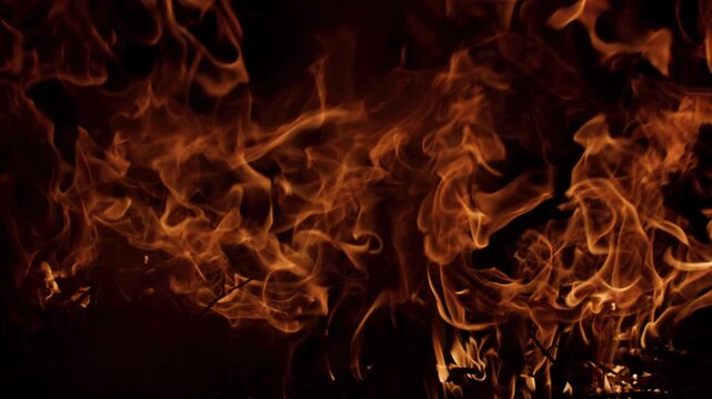 Fire burning wild flames. Fire blazing dynamic motion. Fire glowing cinematic look. Fire abstract firestorm texture.