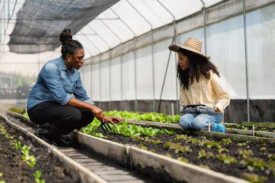 Mother teaching daughter gardening in greenhouse, Learn practical skills with mother while using modern technology in tablet step info smart farmer new generation