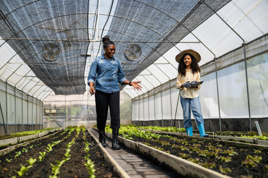 Mother teaching daughter gardening in greenhouse, Learn practical skills with mother while using modern technology in tablet step info smart farmer new generation