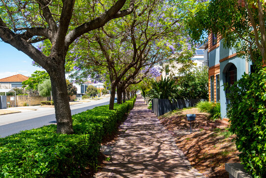 Subiaco Suburb in Perth - Western Australia