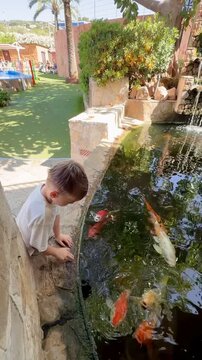 A boy watches koi carp in a pond at a park.