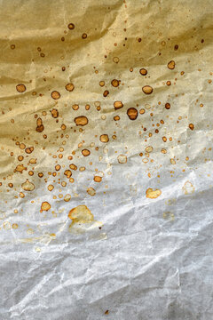 Distressed parchment paper with authentic coffee stains and natural wrinkles. Vintage texture background for graphic design, branding and editorial layouts.