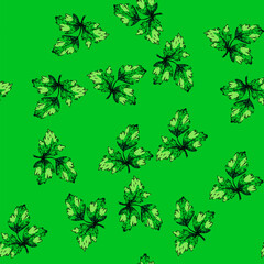 Naklejka premium pattern garnish parsley hand drawn. green food, fresh herb, cooking bunch garnish parsley vector sketch illustration
