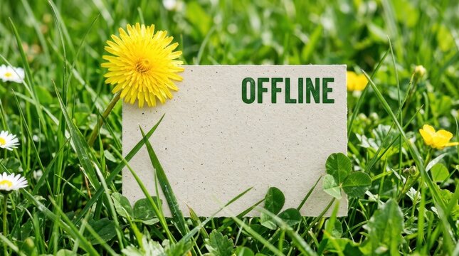 A bright yellow dandelion and green grass surround a simple card with the word OFFLINE, symbolizing a break from digital life.