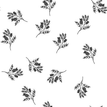 seamless pattern licorice plant herb hand drawn. liquorice aromatic, food health, al natural, string ayurveda, ayurvedic beneficial licorice plant herb black sketch illustration