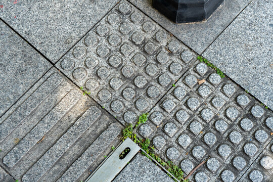 Urban sidewalk with textured grey tiles and greenery