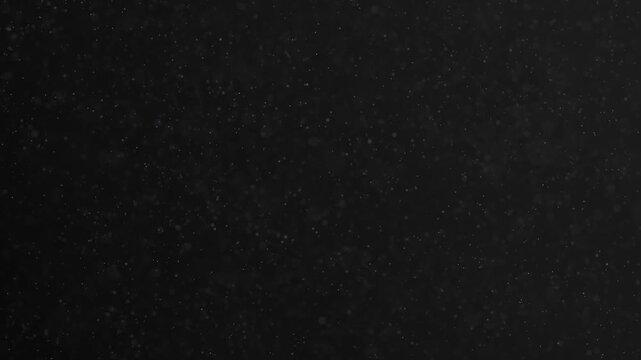 Fine dust particles drift continuously across a dark monochrome background. Soft blurred specks and sharper grains create atmospheric depth in a seamless loop.