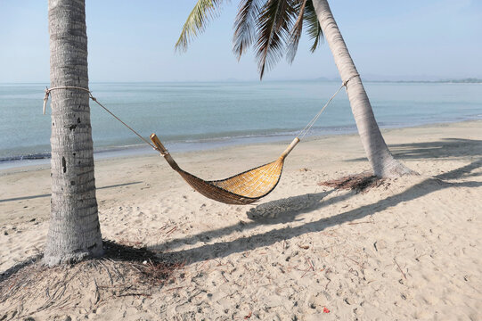 A bamboo hammock hangs under a coconut tree on the beach by the sea.