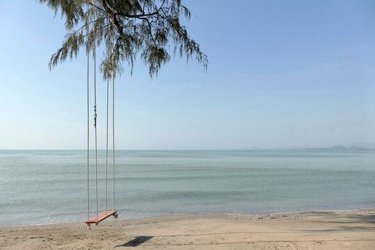 A wooden swing hanging under a pine tree on the beach by the sea.