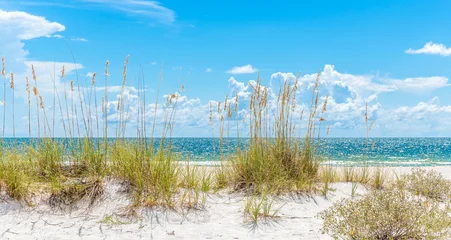 Fotobehang Duinen sunny beach with sand dunes and blue sky  © Maria