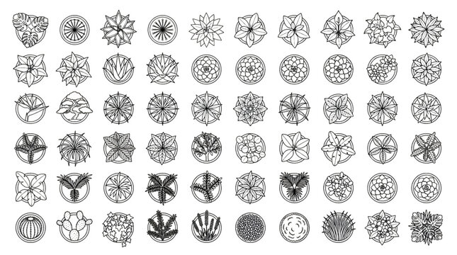 Vector Top View Potted Plant Icons Set Featuring Monstera Cactus and Indoor Foliage in Architectural Line Art for CAD Floor Plans