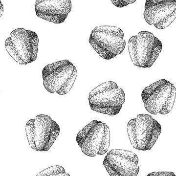 seamless pattern nutrition chayote healthy hand drawn. edible fresh, nutritious raw, food vegetable nutrition chayote healthy black sketch illustration