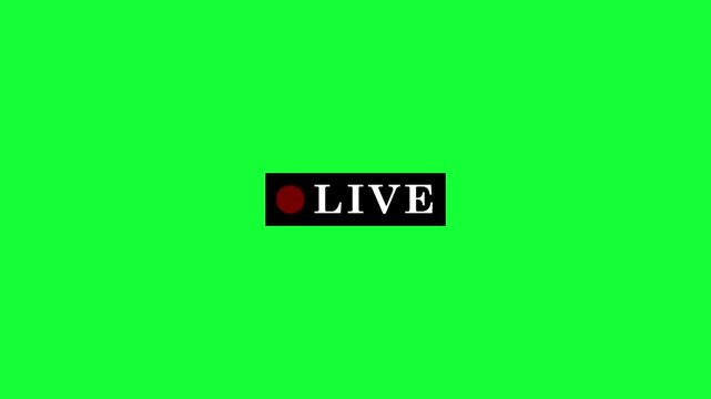 Simple live streaming icon animation with transparent background, red button live streaming animation symbol