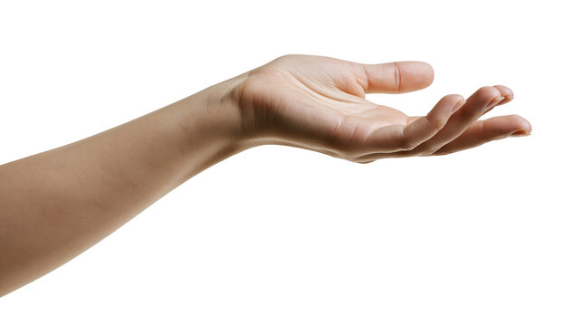 Open human hand palm up, reaching forward