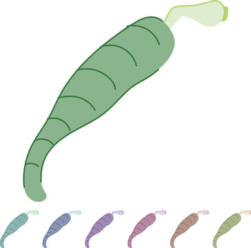 nematode parasite cartoon. tapeworm fluke, roundworm flatworm, leech lice nematode parasite sign vector