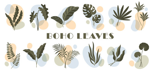 Bohemian tropical plants, boho monstera leaf, floral organic nature elements. Natural foliage and jungle vegetation botanical set. Palm frond, fern and eucalyptus silhouettes in soft geometric shapes © Vector Tradition