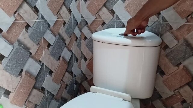 Close-up footage of a hand pressing the dual flush button on a modern toilet in a clean bathroom.