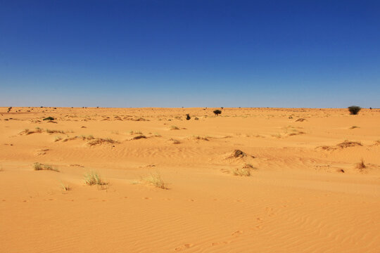 Nature of Sahara Desert, Mauritania, West Africa