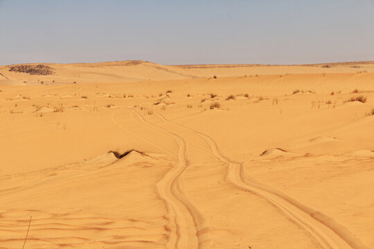Nature of Sahara Desert, Mauritania, West Africa