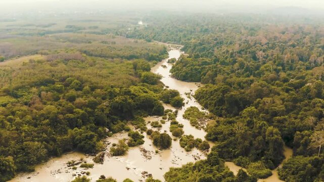 A stunning high-angle drone shot capturing a scenic waterfall flowing through a lush green valley, flanked by dense rows of thick forest trees.