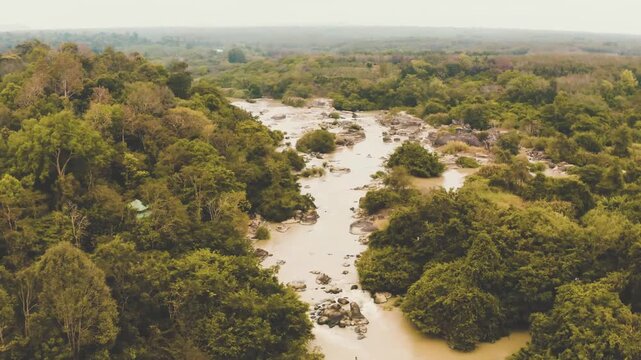 A stunning high-angle drone shot capturing a scenic waterfall flowing through a lush green jungle, flanked by dense rows of forest trees with a bridge crossing over the streaming water.