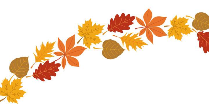 Autumn falling leaves background for packaging design, cozy fall seasonal template