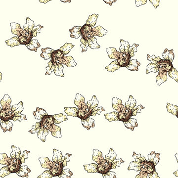 pattern dendrobium orchid hand drawn. vanda cymbidium, miltonia oncidium, epidendrum bulbophyllum dendrobium orchid vector sketch illustration