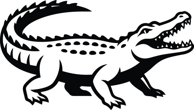 Black and white of an alligator with open mouth and sharp teeth crocodile reptile animal wildlife