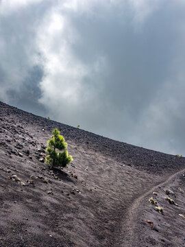 Volcanic landscape on the hike Ruta de los Volcanos on La Palma, Canary Islands, Spain.