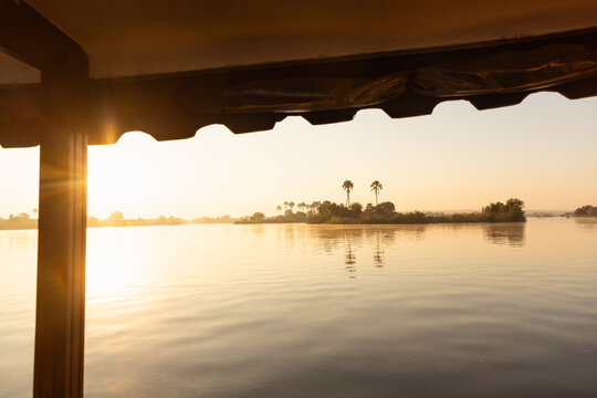 palm trees at sunrise on the Zambezi River, Zimbabwe, Africa