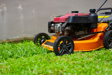 Obraz premium An orange engine-powered lawn mower being used to cut green grass in a backyard garden.