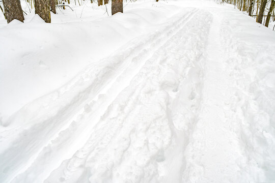 A snow-covered trail and ski track in a park. A panorama of a snow-covered winter forest with trees in the background. An empty view of the ski and hiking area.