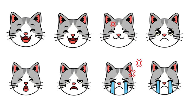Emotional cat faces express various feelings