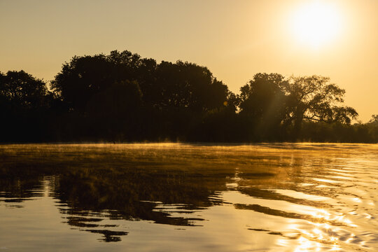 mist rising from Zambezi River at sunrise, Zimbabwe, Africa
