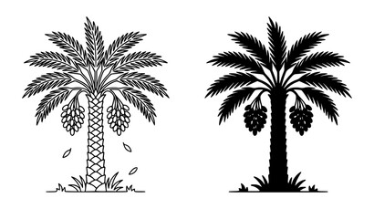 Fototapeta premium Two palm tree illustrations detailed line art and solid silhouette designs for tropical graphics