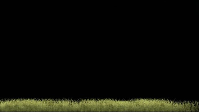 Light Leaves Border Swaying on Black Background for Nature Video Production Motion Graphics Overlay