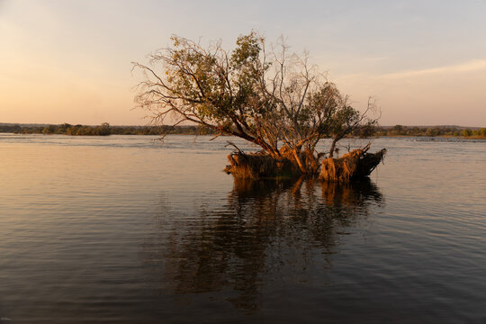 sunset on the Zambezi River, palm trees, 