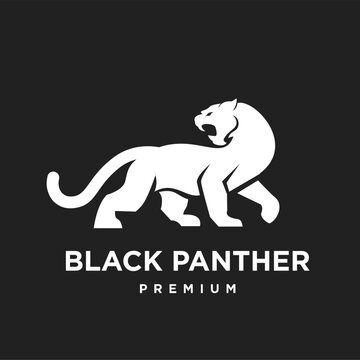Striking Black Panther Roaring Walking Logo Design Premium Vector