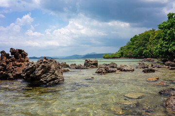 Obraz premium Rugged tropical coastline with coral rocks scattered in clear water and mangrove trees under a dramatic cloudy sky.