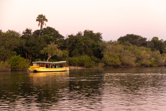 vintage boat, palm trees, mist,  sunrise on the Zambezi River, Zambia, Africa