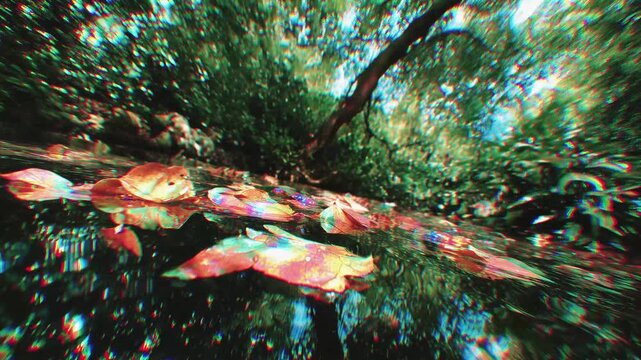Psychedelic dreamlike forest river with floating autumn leaves and flowers. Extreme chromatic aberration, glowing starbursts, and trippy glitch distortion effects on a dark reflective water surface