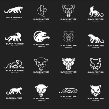 Black Panther Logo Collection, Wild Big Cat Icon Set for Branding and Sport Teams