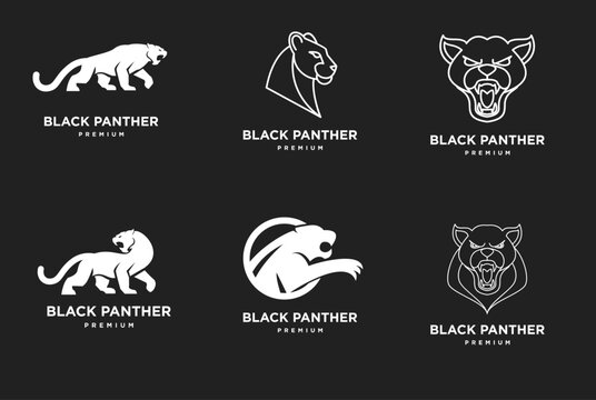 Collection of Black Panther Premium Logo Designs: Modern Big Cat Icon Set for Branding, Sports, and Mascot Identity