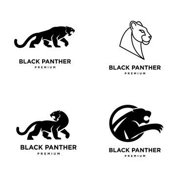 Set of Black Panther Logo Designs: Modern, Minimalist, and Roaring Feline Symbols for Premium Branding and Business Identity.