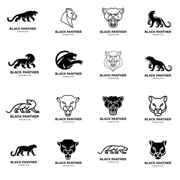 Black Panther Logo Set: Premium Vector Illustrations of Roaring and Walking Felines for Branding